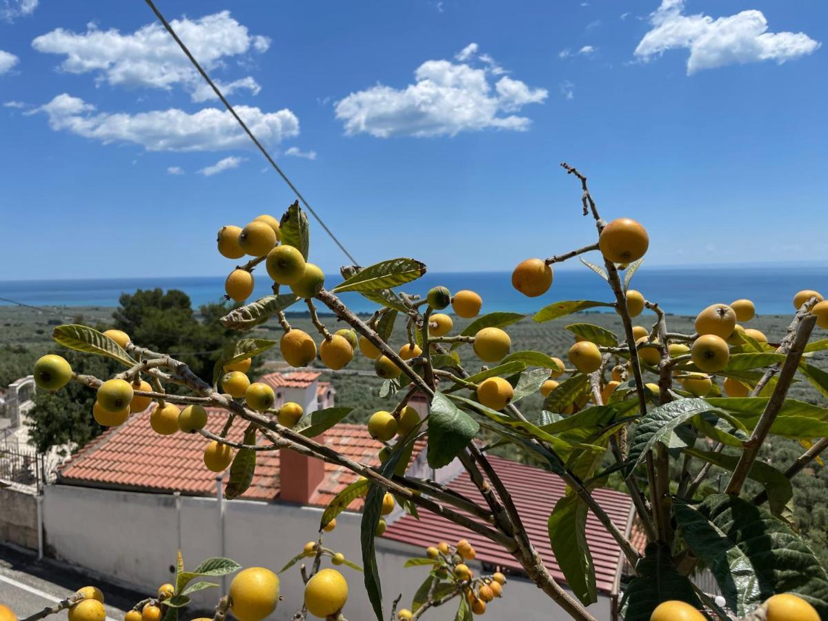 Villetta - Qui Dove Il Mare Luccica - Affitti Brevi Italia Monte SantʼAngelo Kültér fotó