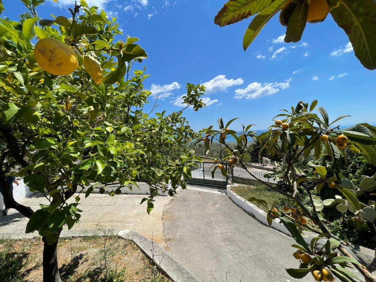 Villetta - Qui Dove Il Mare Luccica - Affitti Brevi Italia Monte SantʼAngelo Kültér fotó