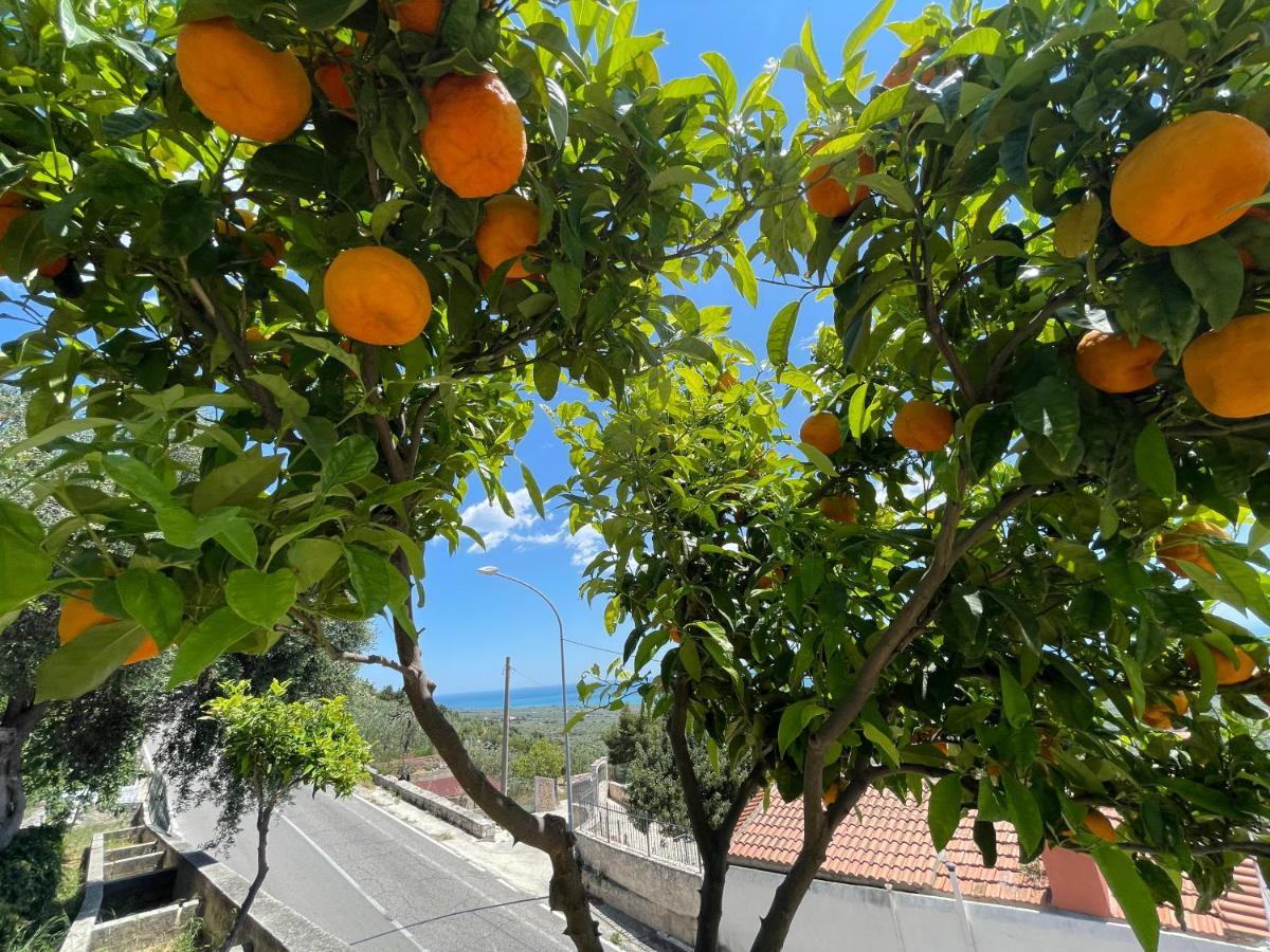 Villetta - Qui Dove Il Mare Luccica - Affitti Brevi Italia Monte SantʼAngelo Kültér fotó