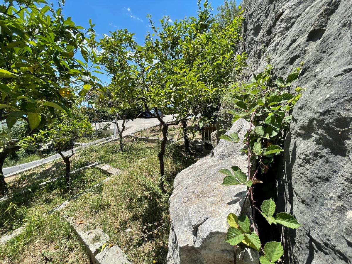 Villetta - Qui Dove Il Mare Luccica - Affitti Brevi Italia Monte SantʼAngelo Kültér fotó